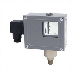 FH0205 (ขนาดเล็ก) ตัวควบคุมแรงดัน พร้อมเซ็นเซอร์แบบเบลโลว์ - Product Image 1