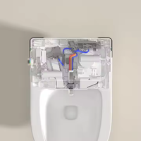 SDAYI Smart Toilette Qualité Européenne Murale En Céramique Sanitaire Économie D'eau pour Salle De Bains Geberit Fashion Style