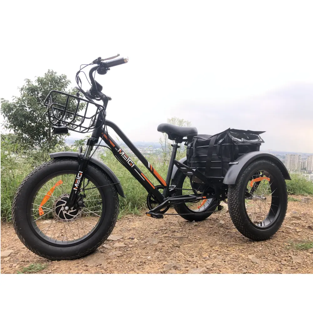Grossista adulti 750w/500W 3 ruote auto cargo elettrico cinese triciclo elettrico pneumatico grasso triciclo elettrico