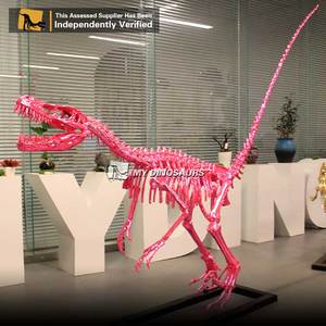 <span class=keywords><strong>Esqueleto</strong></span> <span class=keywords><strong>de</strong></span> <span class=keywords><strong>dinosaurio</strong></span> <span class=keywords><strong>de</strong></span> fibra <span class=keywords><strong>de</strong></span> vidrio fósil <span class=keywords><strong>de</strong></span> resina My Dino con nuevo estilo <span class=keywords><strong>Velociraptor</strong></span> rosa para - Product Image 3
