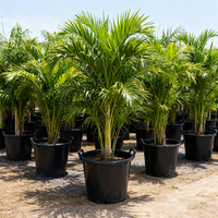 Pot de plante en plastique robuste (50L à 95L) avec poignées, conteneur de pépinière pour grands arbustes et arbres fruitiers, pour usage domestique et en jardin
