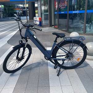 Bicicleta Eléctrica Urbana Vintage OEM para Adultos, 36V 250W, Batería LG, 28 Pulgadas, Bicicleta de Ciudad - Product Image 6