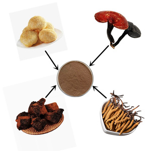Polvo de Hongos Shiitake Mixtos Orgánicos, Extracto de Hongos Lingzhi, Cordyceps y Morel, Personalizable y con Marca - Product Image 4