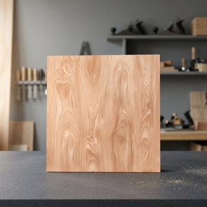 Carreaux de sol en céramique émaillée effet pierre 400x400mm, finition mate, design marbre, pour intérieur de villa - Product Image 4