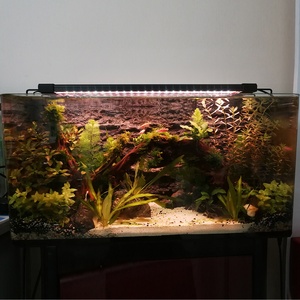 Liweida 11/18/24W Led Aquarium Licht Voor 35-100Cm Aquarium - Product Image 3
