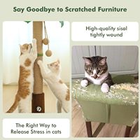 Nouvelle tour griffoir pour chats d'intérieur avec jouet pour chat, trou pour souris et balle interactive en bois