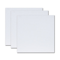 Offre Spéciale en gros blanc mini art blanc peinture toile conseil