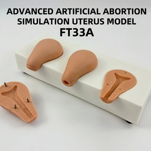 Modèle d'utérus avancé pour simulation d'avortement <span class=keywords><strong>artificiel</strong></span>, trois simulateurs utérins anatomiques, outil de formation en obstétrique et gynécologie - Product Image 2