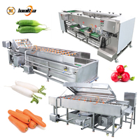Industriële fruit- en groentewasmachine, sorteermachine voor radijs, wassenlijn voor wortelen, radijs sorteermachine op maat
