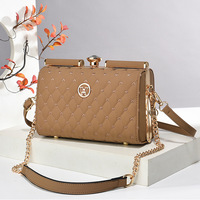 Nouveau sac à bandoulière de luxe haut de gamme pour femme, petit sac à main de créateur avec chaîne et fermoir en acier, rangement cosmétique toutes saisons