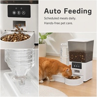 Distributeur automatique intelligent d'aliments pour animaux de compagnie en acier inoxydable avec contrôle par application WiFi, distributeur de nourriture écologique pour chats et chiens d'intérieur