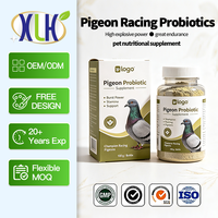 Poudre de performance pour pigeons de course, Nutrition pour la période d'entraînement et de course, Soutien à la circulation sanguine et à la récupération, Graines de chia, 1000g