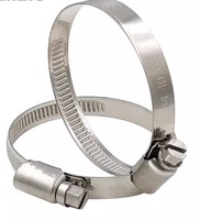 Usine chinoise haute qualité poli SS304 acier inoxydable métrique entraînement collier de serrage bande passante Allemagne Type OEM industrie générale