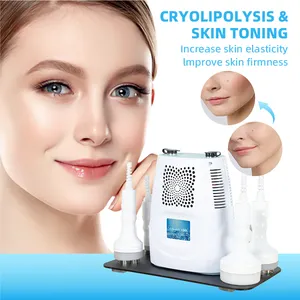 Home Use Cryolipolisis 360 Cool Body Sculpt Vacuum Cavitation System For Belly Fat Removal