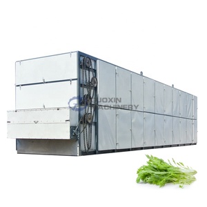 เครื่องอบแห้งแบบสายพานตาข่ายความจุสูงสำหรับอบแห้งถั่วปีก ถั่วยาว และต้นถั่วฝักยาว - Product Image 1