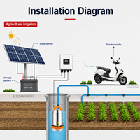 Pompe à eau submersible portable 12V 24V 48V DC, mini pompe centrifuge pour le transfert d'eau domestique, l'irrigation agricole