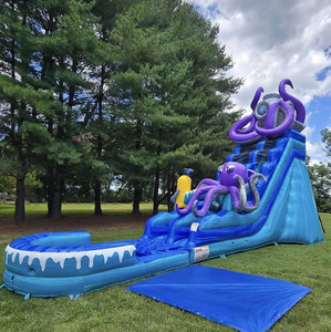 Jellyfish Inflatable <strong>Slide</strong> Cheap Price New Inflatable Water <strong>Slide</strong> <strong>Indoor</strong> <strong>Slide</strong> for Kids Inflatable Pool with <strong>Slide</strong> - Product Image 2