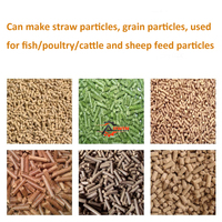 Nouvelle machine à granulés d'aliments pour animaux ALLWIN, petite, électrique, pour volailles, bétail, poissons, usage domestique, aquaculture, capacité de 500 kg/h, en fonte