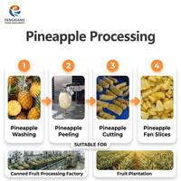 Industriële productielijn voor vers gesneden ananas, inclusief wassen, schillen, snijden en verwerken voor plantenbouwgebruik.