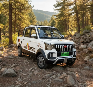 Véhicule utilitaire électrique à conduite à droite (RHD) 2000W 60V, fabriqué en Chine, à prix abordable pour adultes - Offre spéciale - Product Image 1