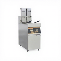 Friteuse Électrique Professionnelle Automatique à Panier Coulissant, Contrôle Numérique, 16,5 kW, 380 V, Grande Capacité 22L+22L