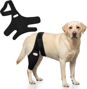 Adjustable Dog Knee <b>Brace</b> Protecter Hip <b>Brace</b> Support for Torn ACL with Side Stabilizers Neoprene Dog Hind Leg <b>Back</b> Leg Support - Product Image 1