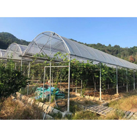 Poulailler commercial, serre en métal, serres agricoles, tunnel multi-voûtes, serre à tomates