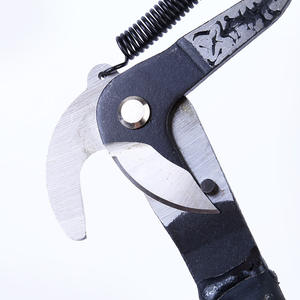 Sécateur double lame pour pin, lame de 40 mm en acier inoxydable, structure papillon, diamètre de coupe 10-20 mm, sécateur aérien pour branches de fruit - Product Image 4