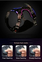 Série Pet Glow Harnais et laisse pour animaux de compagnie à LED |   Collier |   Noeud papillon |   Porte-sac à crottes pour chien, kit de promenade pour chien, accessoires pour animaux de compagnie