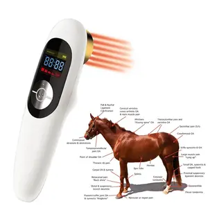 Home Use Portable Animals Cold Laser Therapy Vet Cat Pain Relief Healing Light Hand Laser 808nm Horse Wound Treatment