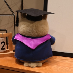 Peluche Gufo Dottore Personalizzato OEM da 9,5 Pollici, Mascotte Gufo Professor Personalizzata per Regalo Promozionale - Product Image 4