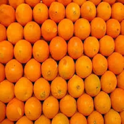 Süße frische Mandarine/frische Orange, Marine orange, Valencia Orangen USA