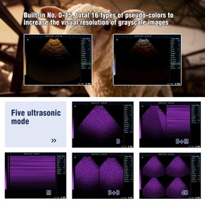 Draagbare Ultrasone Geluidstestapparatuur Voor Veterinair Gebruik Dierlijk - Product Image 2