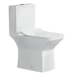 Cupc Professionele Topkwaliteit Wc Eendelige Waterkast Siphonic Dual Flush Toiletten