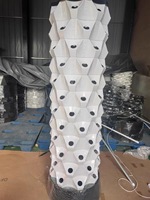 Systèmes de culture verticale améliorés pour l'agriculture intérieure et extérieure, tours d'aéroponie, culture hors-sol, culture hydroponique verticale