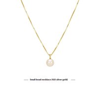 Collier pendentif capsule en argent sterling S925, perle d'eau douce naturelle, style automne-hiver, design luxueux hypoallergénique