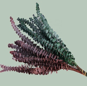 Feuilles d'<span class=keywords><strong>eucalyptus</strong></span> naturelles préservées, feuilles séchées, toucher réel, pour la décoration de bouquets de mariage et de fête DIY - Product Image 2
