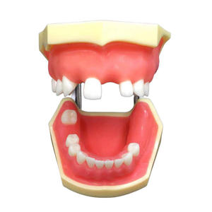 학생들이 연습 모델을 심는 치과 훈련 연습 시뮬레이션 모델 - Product Image 1