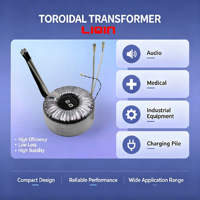 Transformateur toroïdal d'isolement médical monophasé 220V 50/60Hz en cuivre pur pour imagerie diagnostique, personnalisable OEM, EN60601 ISO9001