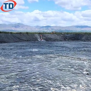 Geomembrana Antifiltraciones para Estanques de Residuos, 1mm 1.5mm 2mm, Resistente a Rayos UV, Geomembranas de HDPE para Almacenamiento de Cenizas en Minería - Product Image 4