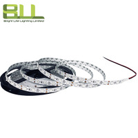 Smd 5050 60leds azul solo color Flex iluminación de decoración inteligente para pasillo de hotel luz LED inteligente