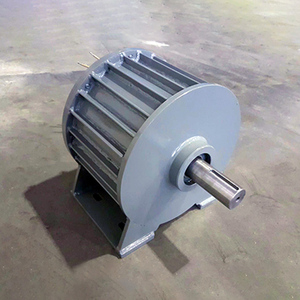 Générateur à aimants triphasé 48V à faible régime 1Kw pour - Product Image 3