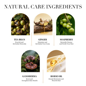 Shampooing Épaississant Anti-Chute au Gingembre, Huile de Cheval Bio, Nourrissant et Rafraîchissant, pour une Croissance Capillaire Quotidienne, Marque Privée - Product Image 3