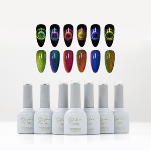 Juego de esmalte de Gel de ojo de gato coreano 9D de alta pigmentación 15ml Suministros de salón magnético Fuente de lámpara LED <span class=keywords><strong>Precio</strong></span> bajo del fabricante francés - Product Image 2