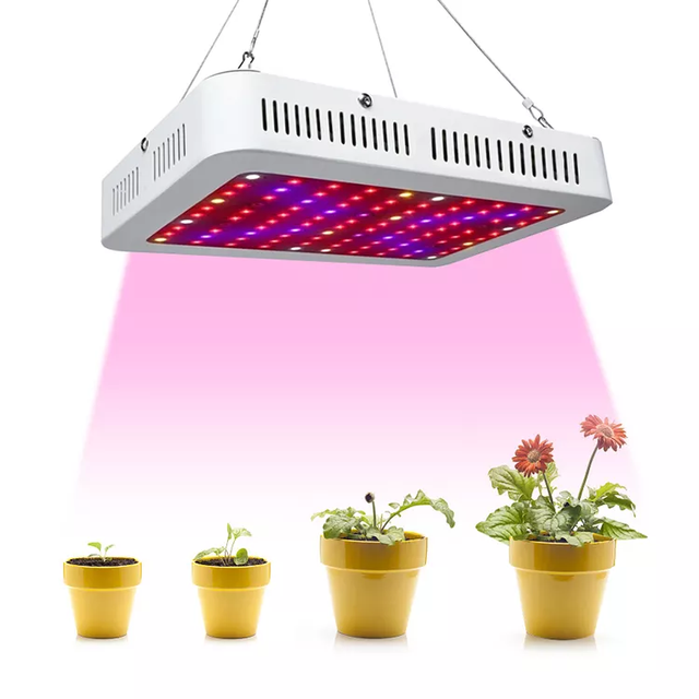 SANYIBA Full Spectrum Hydroponic Greenhouse Indoor Plants 1000W LED Grow Light With Double Chips
