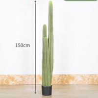 Plante tropicale Aménagement paysager PU Pole Cactus Colonne Rempotage Grande Simulation Cactus Plantes du désert