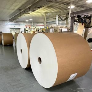 Rouleau de papier PE enduit en vrac, biodégradable, simple face, format jumbo, impression personnalisée pour emballage alimentaire rapide à emporter, usine - Product Image 3