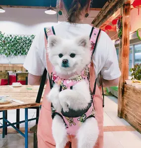 new cute four legs holes design colorful nylon recycle convenient dog pet carrying hiking traveling backpack cat carrier pack