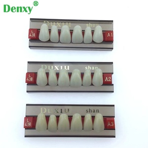Dents <span class=keywords><strong>en</strong></span> résine synthétique Denxy, résistantes à l'usure, <span class=keywords><strong>en</strong></span> résine acrylique pour prothèse dentaire, deux couches, une couche - Product Image 3