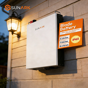 Batería LiFePO4 Sunark <span class=keywords><strong>de</strong></span> Alta Capacidad 5kWh 10kWh con Comunicación RS485 CAN para <span class=keywords><strong>Sistema</strong></span> <span class=keywords><strong>de</strong></span> Inversor Solar Híbrido - Product Image 1